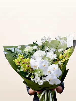 Bó Lan Trắng Địa Lan Xanh