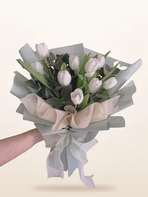 Bó Tulip Trắng Tinh Khôi