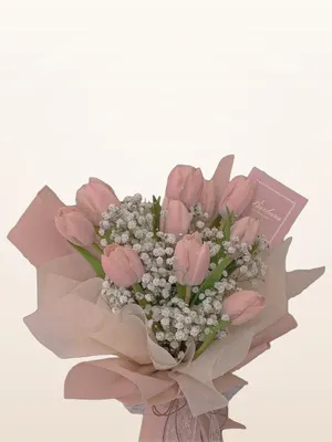 Bó Tulip Hồng Baby