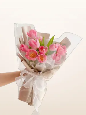 Bó Tulip Hồng Đậm Lau Trắng