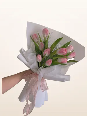 Bó Tulip Hồng Phấn Nơ Hồng