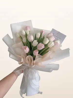 Bó Tulip Hồng Nhạt 20 Cành