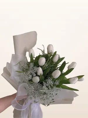 Bó Tulip Trắng Baby Mây