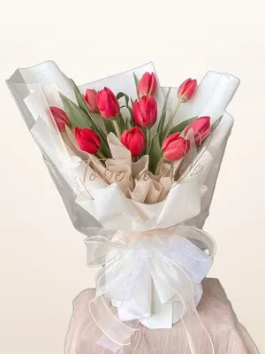 Bó Tulip Đỏ Nồng Nàn