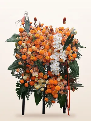 Kệ Cam Monstera Hưng Thịnh